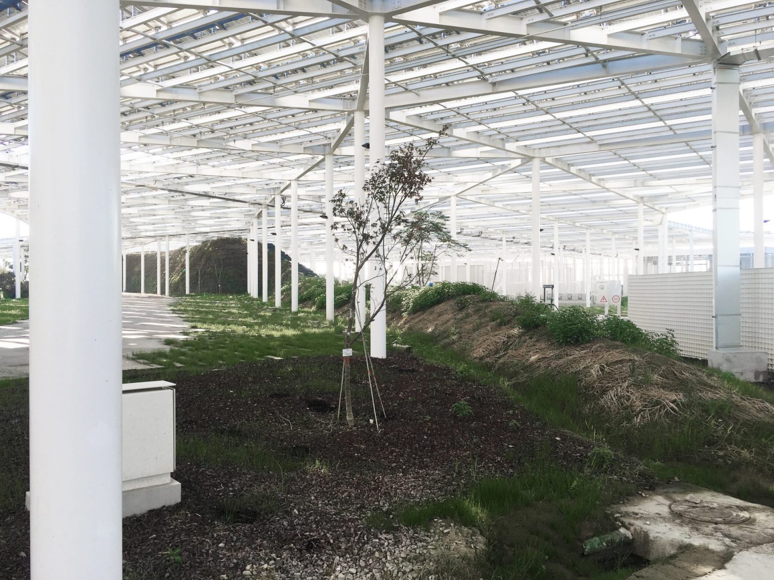 Philippe Rahm ENSAPB